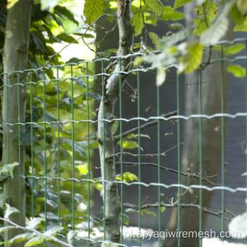 PVC powlekane spawane ogrodzenie euro/Holland Tree Fence